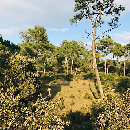 Сasa de vacaciones Petite Maison Proche *